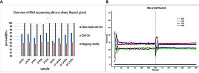 Photoperiods induced the circRNA differential expression in the thyroid gland of OVX+E2 ewes